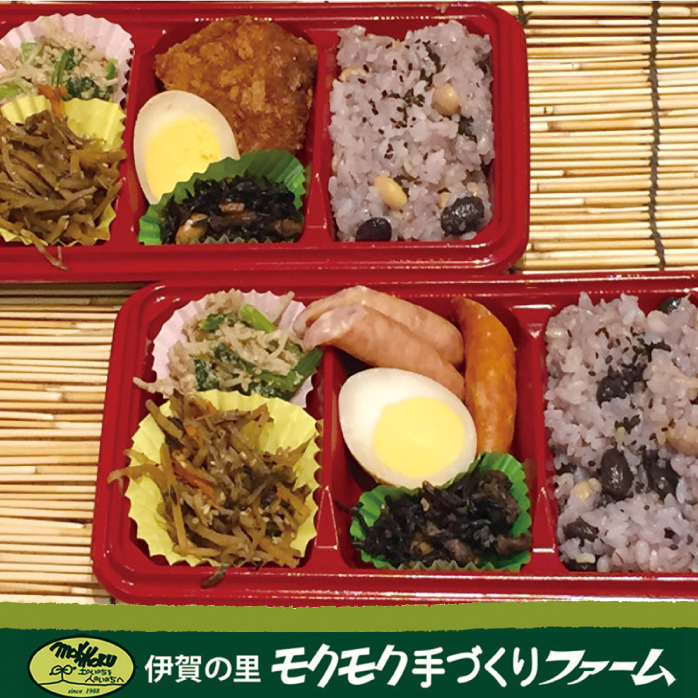 ハハトコ食堂 GOGO弁当