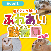ふれあい動物園 松菱百貨店6階催事場