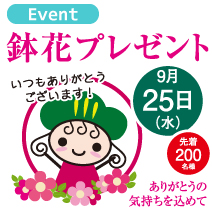 松菱百貨店大創業祭 ありがとうの気持ちを込めて 鉢花プレゼント