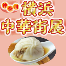 神奈川 横浜・中華街展